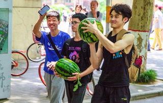 吃瓜学校小说,揭秘校园风云背后的秘密